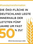 Thueringer_Oekoherz_Oeko-Flaeche