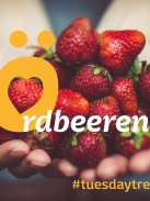Thueringer_Oekoherz_Oerdbeeren